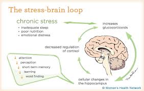 brain lopp stress